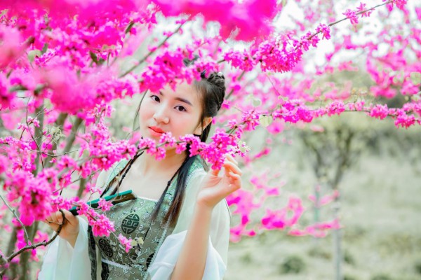 美女杭州行，一壶茶香醉人心
